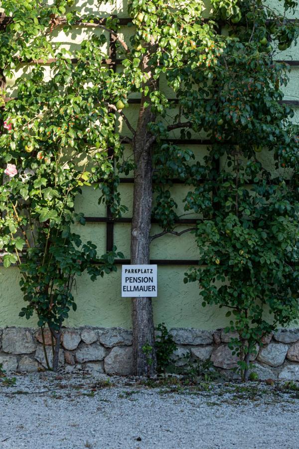 Aberseeblick Pension Ellmauer Saint Wolfgang Kültér fotó