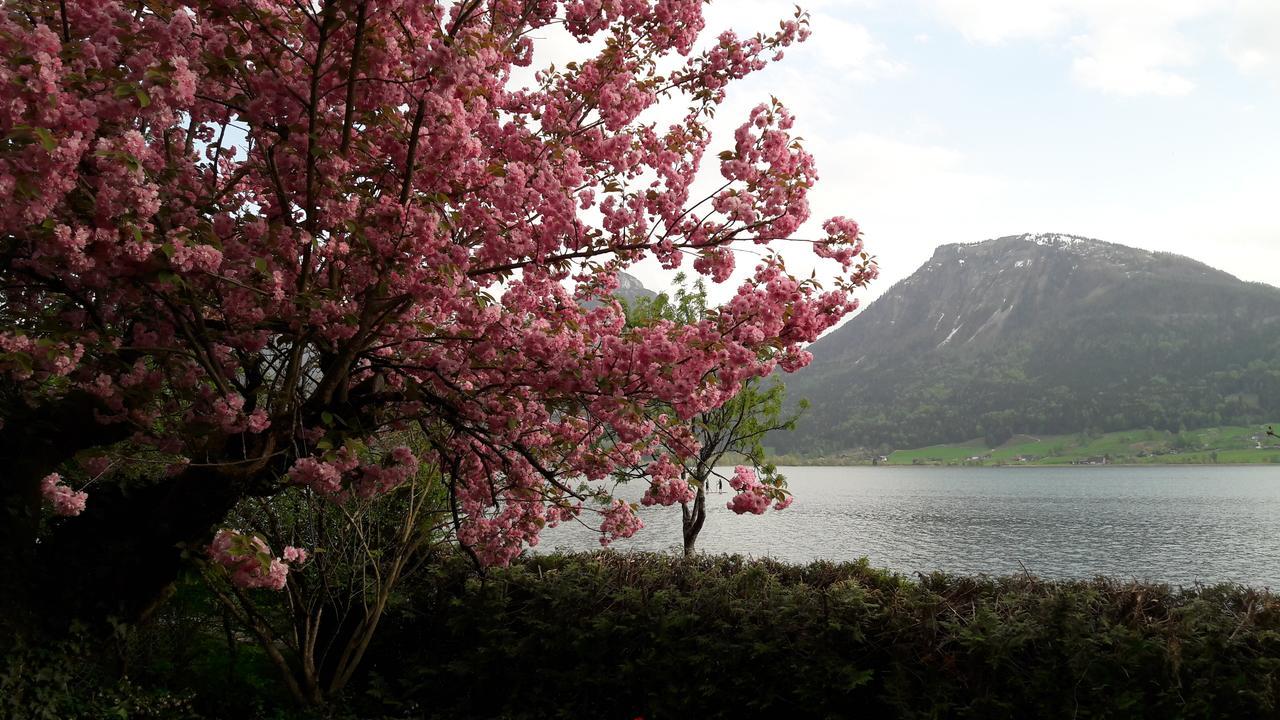 Aberseeblick Pension Ellmauer Saint Wolfgang Kültér fotó